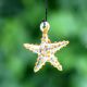 Multicolor Beach Theme Assorted Starfish Christmas Tree Ornaments Set of 10 Pcs